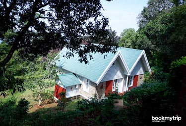 Bookmytripholidays | Ambadi estate,Munnar  | Best Accommodation packages